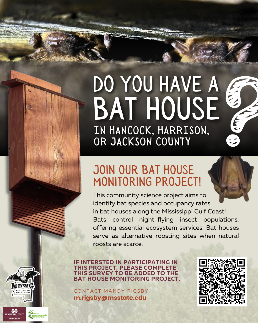bat house monitoring flyer