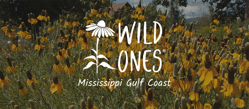 Wild Ones Mississippi Gulf Coast text over a picture of yellow flowers